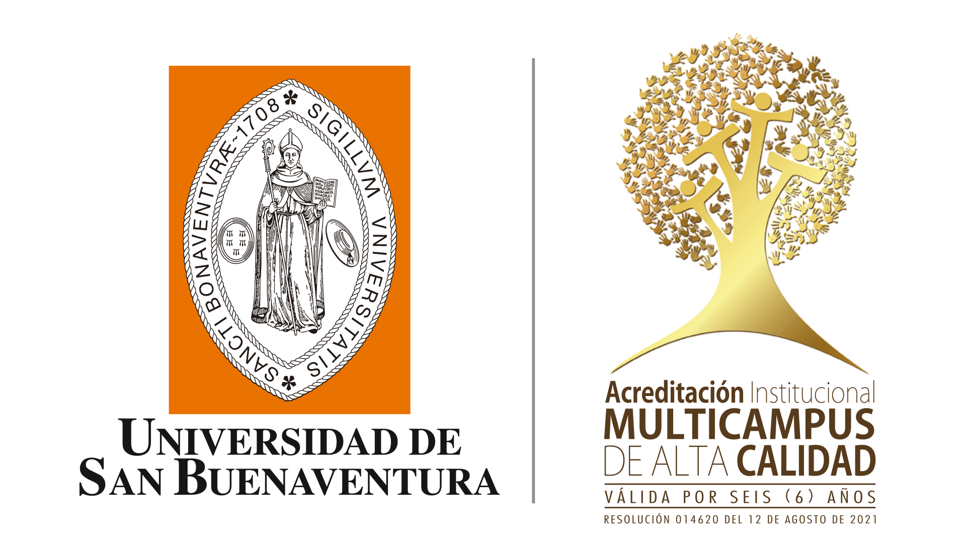 Colaborador 2